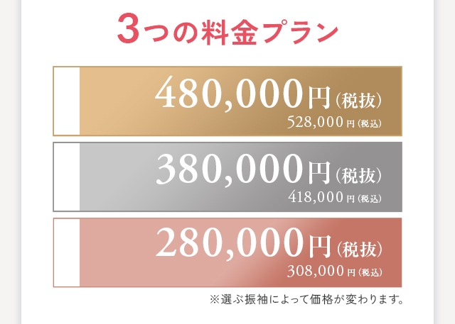 3つの料金プラン 1. 480,000円（税抜）2. 380,000円（税抜）3. 280,000円（税抜）